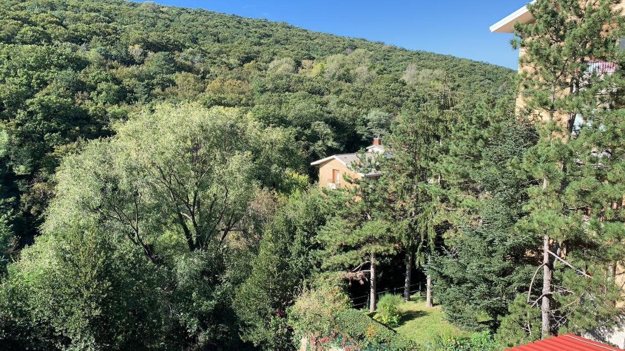 Al Bosco Incantato Триест Екстериор снимка