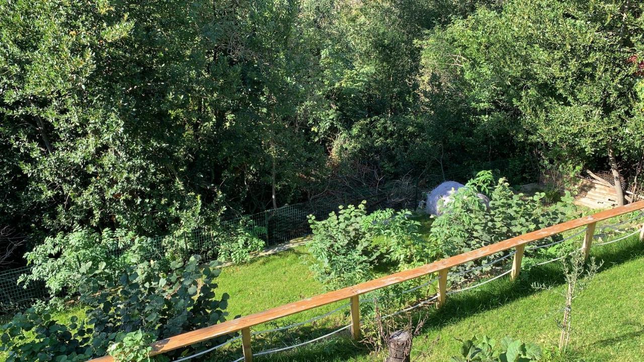 Al Bosco Incantato Триест Екстериор снимка